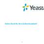 yeastar_p550_doku_aktuelle_konfigurationsuebersicht_page-0029.jpg